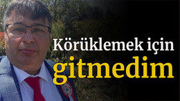 Körüklemek için gitmedim